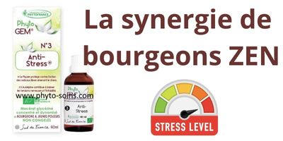 Des bourgeons pour g&eacute;rer son stress